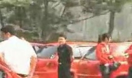 天涯爆料天津刘安父母视频,揭秘家庭悲剧背后的真相