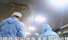 配餐爆料视频大全集,配餐爆料视频大全集深度解析