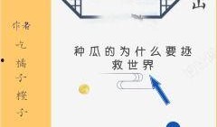 小说摸鱼吃瓜免费阅读全文,职场小白的逆袭之路
