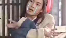 娱乐吃瓜酱母胎solo,揭秘娱乐圈单身贵族的趣味生活