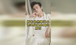 靳东爆料娱乐圈是真的吗,靳东爆料事件深度解析