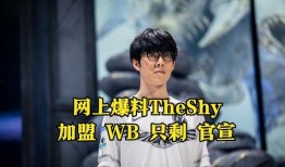 转会期最新爆料theshy