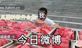 各种爆料吃瓜软件大全视频,吃瓜软件大全视频深度解析