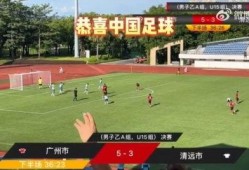 选手爆料假球视频播放在线观看,选手爆料假球视频在线观看，真相令人震惊