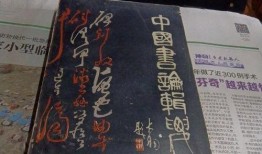 爆料大连探店视频大全,带你领略美食天堂的风采