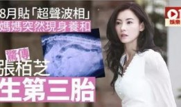 娱乐吃瓜酱母胎solo,揭秘娱乐圈单身贵族的趣味生活