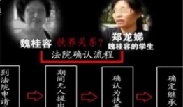 魏师傅爆料吐槽视频,吐槽视频背后的行业真相