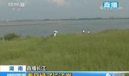 华龙电视直播在线观看,畅享实时精彩，尽在指尖一触