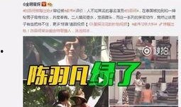 叶晓楠爆料视频大全下载,揭秘幕后真相