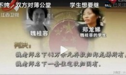 魏师傅爆料吐槽视频,吐槽视频背后的行业真相