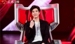 周群爆料王力宏视频,事件背后真相曝光