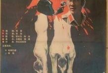 杀机背后在线观看,揭秘网络暗流涌动的悬疑世界