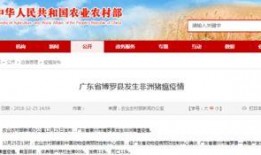 猪瘟最新爆料消息新闻,揭秘病毒传播途径与防控措施