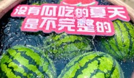 免费吃瓜大挑战