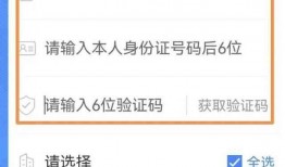 海都新闻爆料电话查询号码,一探究竟的神秘电话号码