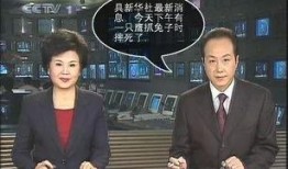 央视前新闻主播爆料事件,揭秘幕后的真相与争议