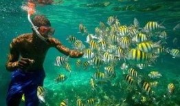 娱乐吃瓜酱飞鸟与鱼,娱乐吃瓜酱的甜蜜邂逅