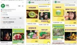 百果园爆料视频最新,揭秘水果界的秘密与惊喜