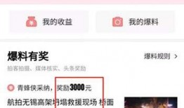 社会新闻爆料视频网站,社会新闻爆料背后的真相