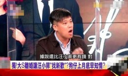 汪小菲的爆料视频大全,揭秘背后真相与情感纠葛