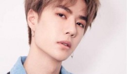 嘴哥爆料刘宪华视频,独家幕后花絮大公开