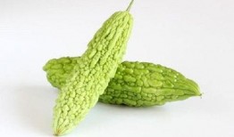 苦瓜特效爆料娱乐圈