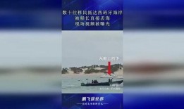 海洋最新爆料消息视频播放,揭秘神秘水下世界奇观