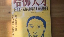 爆料大连探店视频大全,带你领略美食天堂的风采