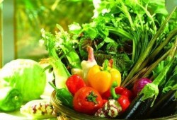 菜棚吃瓜最新事件爆料