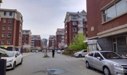 长春晨宇小区爆料事件视频,业主维权与争议焦点曝光