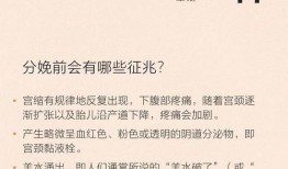 金莎最新爆料新闻事件视频,揭秘娱乐圈惊人内幕！