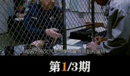 黑哥正能量爆料视频大全,笑对生活，传递温暖的力量