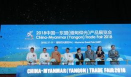 缅甸仰光卫视爆料新闻,缅甸最新热点新闻回顾