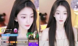特效娱乐爆料女主播,女主播背后的惊人故事