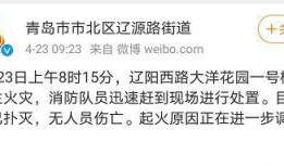 最新辽阳爆料消息,揭秘事件背后真相