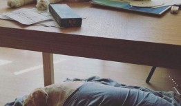 外卖员爆料宠物猫视频,宠物猫意外走红，萌态可掬引网友热议