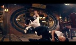 叶问1国语高清在线观看,国术宗师传奇，高清再现武术巅峰