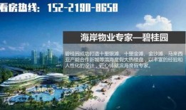 吴川市今日爆料电话,市民热线电话揭露民生热点