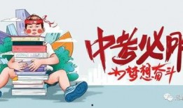 郑州机场大爆料最新消息,揭秘未来发展规划与重大变革