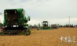 黑龙江农场爆料事件视频