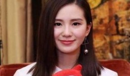 娱乐圈爆料陈赫许婧