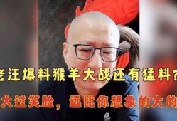 老汪爆料杨仪视频,揭秘背后惊人真相