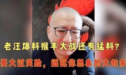老汪爆料杨仪视频,揭秘背后惊人真相