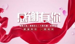 情感爆料素材视频下载,视频素材背后的真实故事