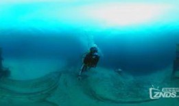 鲨鱼最新爆料视频大全下载,揭秘幕后真相，带你走进神秘世界