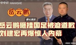刘建宏因爆料道歉视频,揭秘背后真相与反思