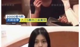 李玫家保姆爆料视频播放,李玫家保姆爆料视频播放引发热议