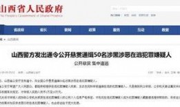 山西打黑除恶最新爆料,重磅爆料揭露黑恶势力新动向