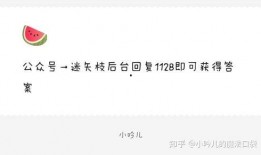 娱乐圈吃瓜爆料素材文件,揭秘明星背后的故事与真相