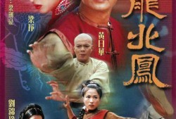 南龙北凤在线观看,穿越时空的传奇爱情，在线观看，浪漫启程